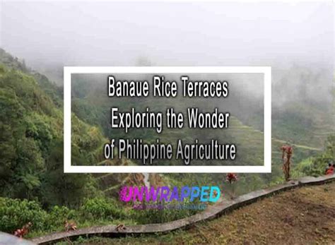 A Guide to Banaue Rice Terraces: Exploring the Philippines' .